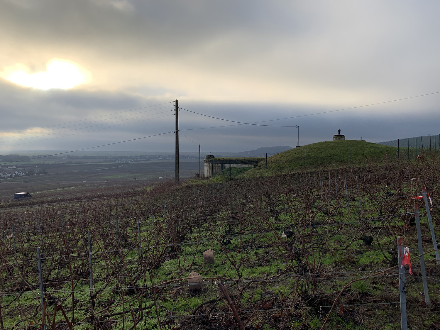 Vign'art - Festival Land-Art dans le Vignoble - Vertus